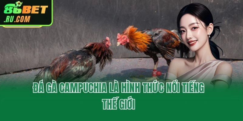 Đá gà Campuchia là hình thức nổi tiếng thế giới